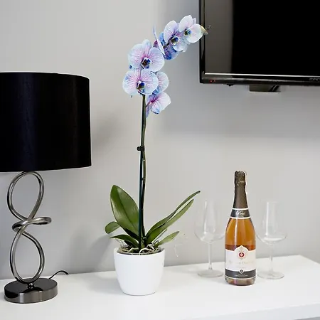 Apartamento Elegant Center Zyblikiewicza 14